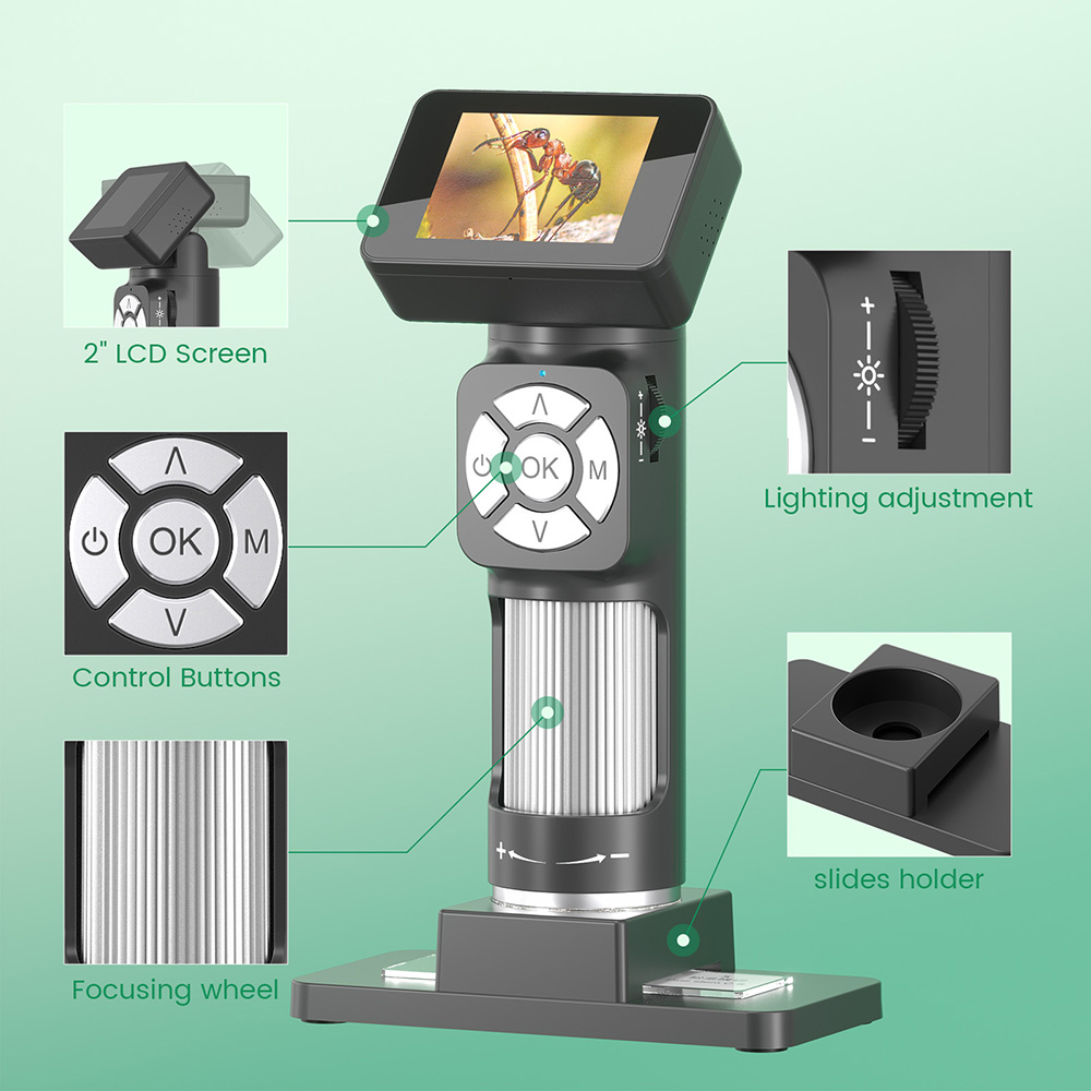 Andonstar nuevo 50x-500x USB n - Microscope Kids Science reseña y precio
