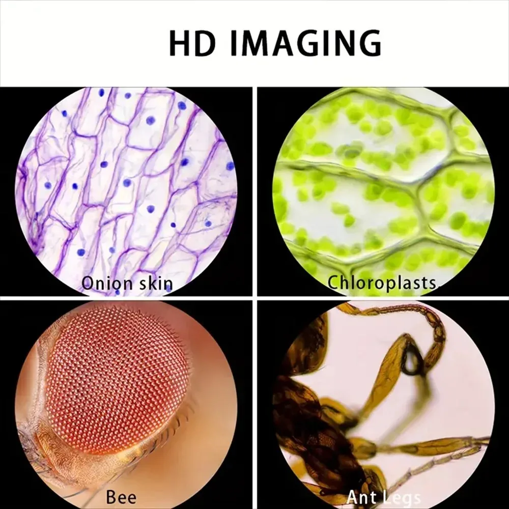 Microscopio de mano para labor - Microscope Kids Science reseña y precio