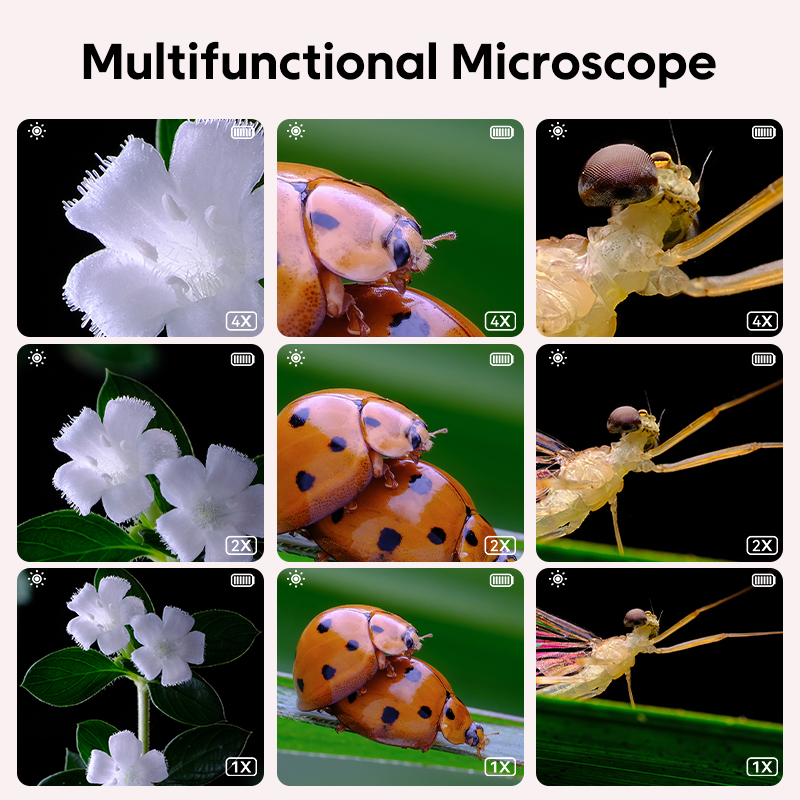 Mini microscopio óptico para n - Microscope Kids Science reseña y precio