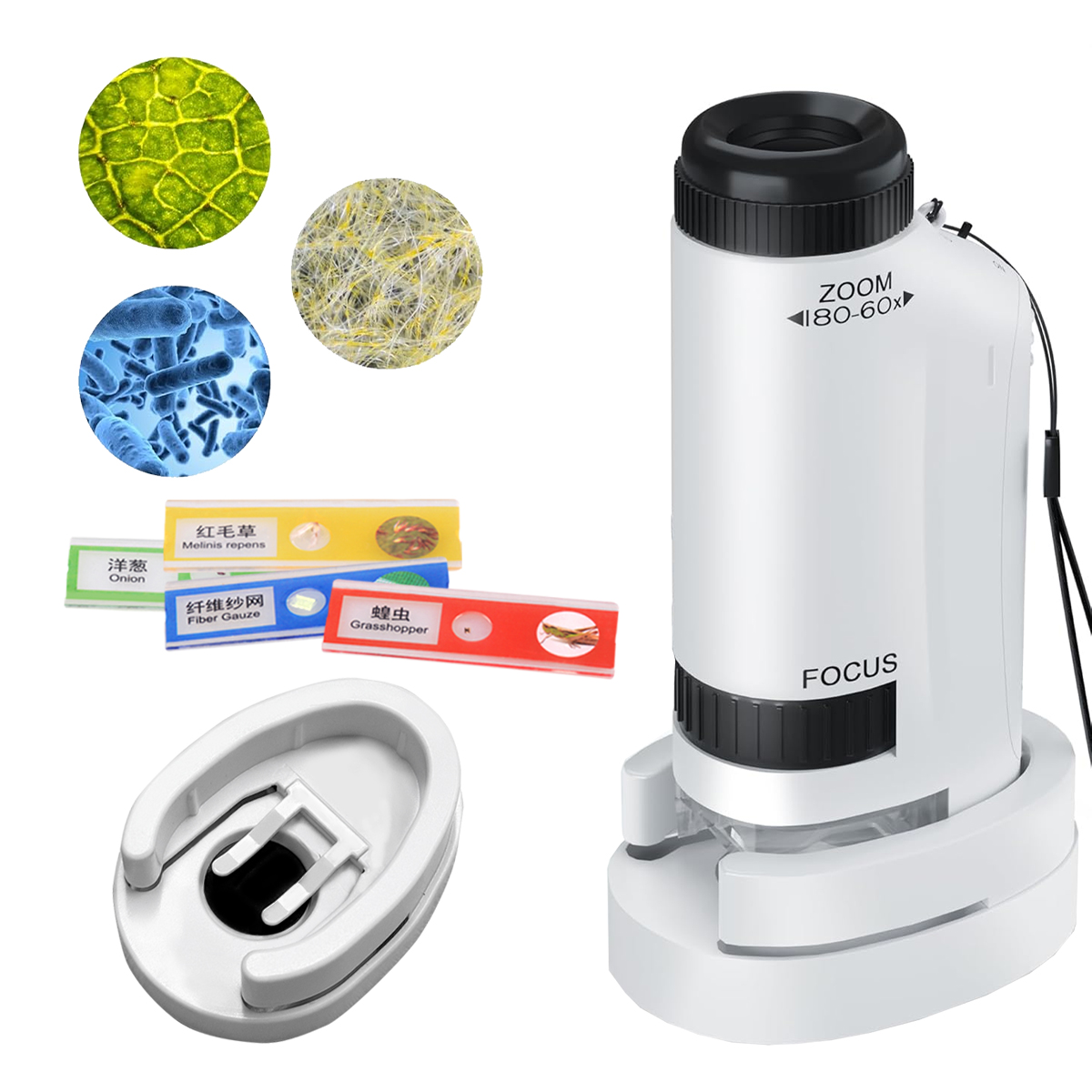 Mini kits de juguetes de mano  - Microscope Kids Science reseña y precio